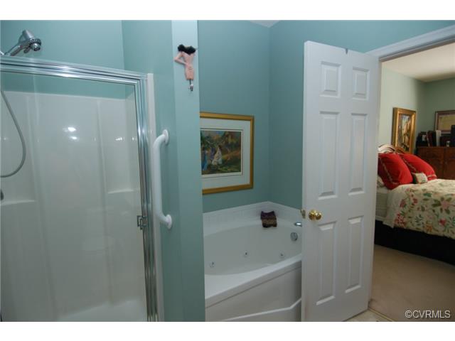 1745 Rose Mill Cir #1745, Midlothian, VA 23112 photo 14