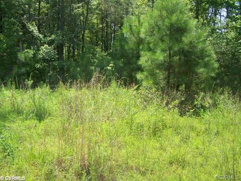 10215 Ashcake Rd, Ashland, VA 23005 photo 1