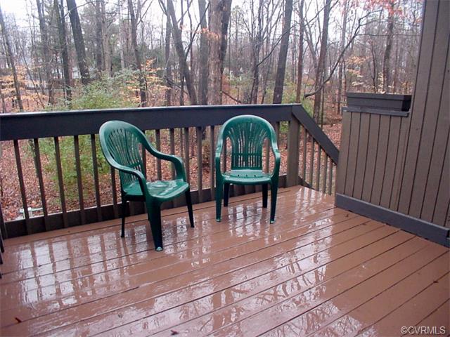 11918 W Briar Patch Dr #11918, Midlothian, VA 23113 photo 19