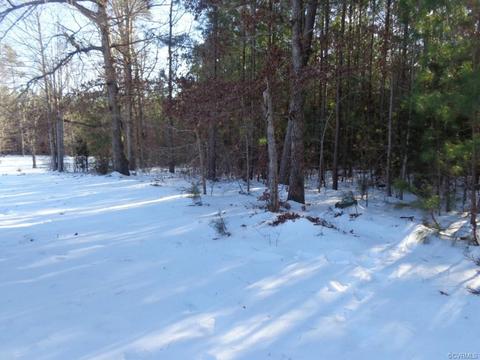 5232 Flat Rock Rd, Alberta, VA 23821 photo 2