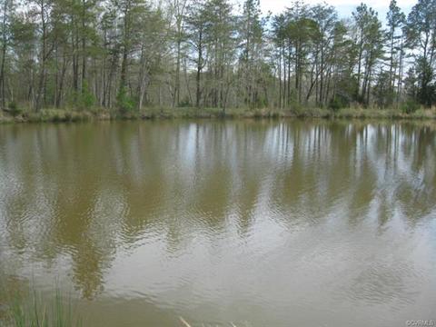 1067 Unity Rd, Kenbridge, VA 23944 photo 6