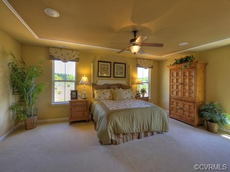 16919 White Daisy Loop, Moseley, VA 23120 photo 7