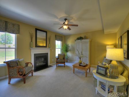 16919 White Daisy Loop, Moseley, VA 23120 photo 5