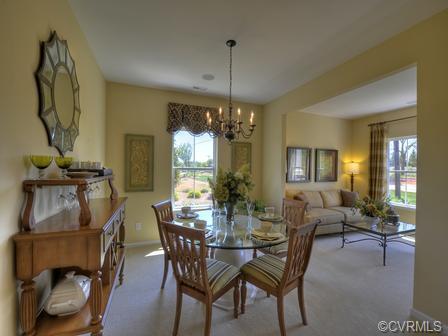 16919 White Daisy Loop, Moseley, VA 23120 photo 2