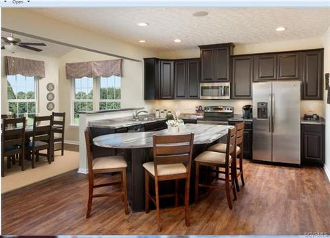 16919 White Daisy Loop, Moseley, VA 23120 photo 6