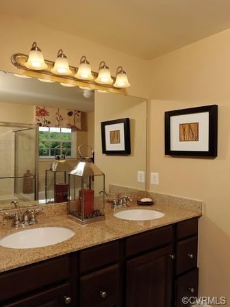 16919 White Daisy Loop, Moseley, VA 23120 photo 10