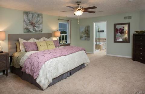 16919 White Daisy Loop, Moseley, VA 23120 photo 8