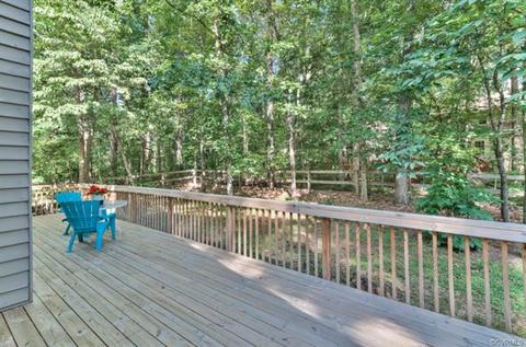 3003 Three Bridges Rd, Midlothian, VA 23112 photo 15