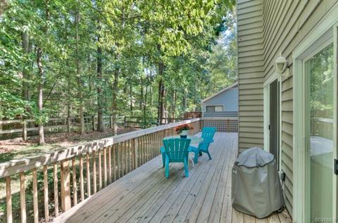 3003 Three Bridges Rd, Midlothian, VA 23112 photo 14