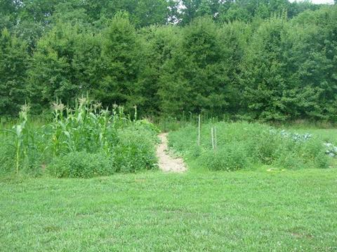 5120 Hart Rd, Sutherland, VA 23885 photo 8