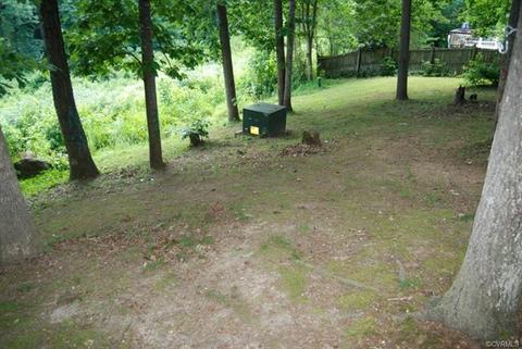 12355 Logan Trace Rd, Midlothian, VA 23114 photo 22