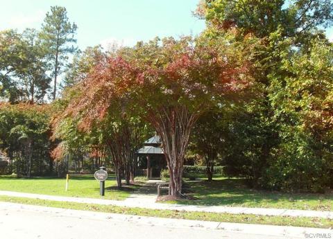 14573 Forest Row Trl, Midlothian, VA 23112 photo 9