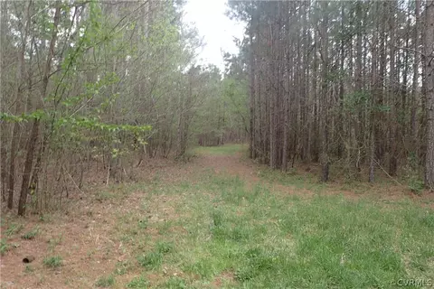 14100 Glebe Rd, Dewitt, VA 23840 photo 16