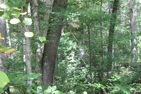 1300 Frameway Rd, Midlothian, VA 23113 photo 6