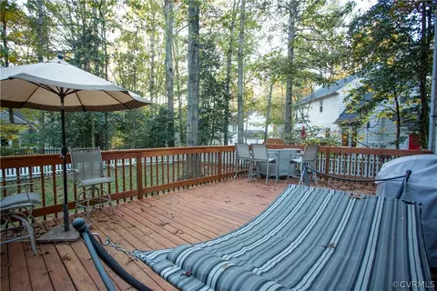 14701 Mill Spring Dr, Midlothian, VA 23112 photo 35