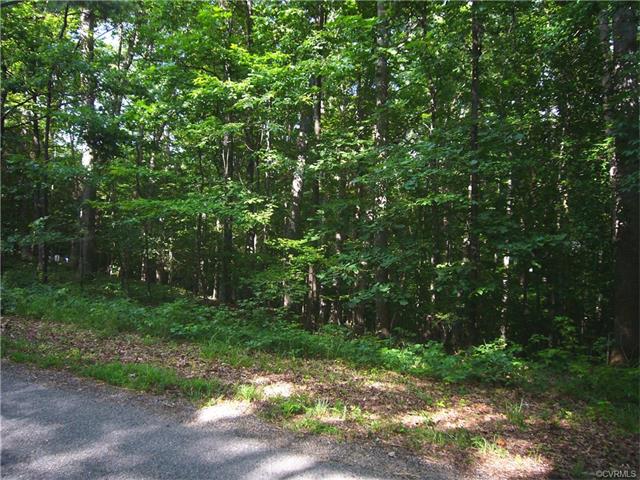 3901 Old Gun Rd, Chesterfield, VA 23113 photo 5