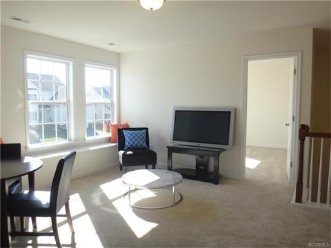 1100 Agee Ter, Midlothian, VA 23114 photo 24
