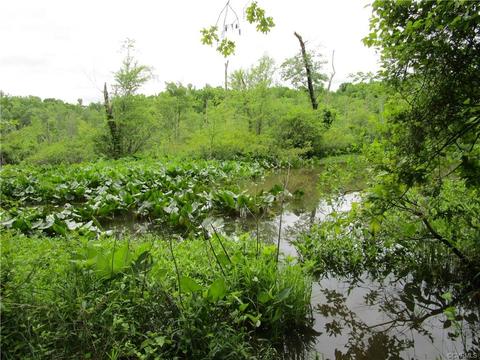 1915 Diggstown Rd, Bumpass, VA 23024 photo 36
