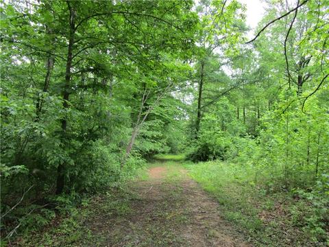 1915 Diggstown Rd, Bumpass, VA 23024 photo 35