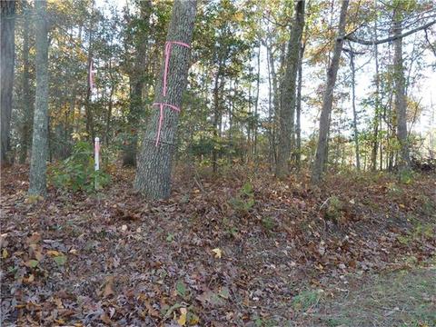1066 E Dunluce Rd, King William, VA 23086 photo 1