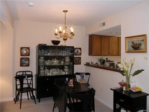 1500 Sycamore Square Dr #1500, Midlothian, VA 23113 photo 18