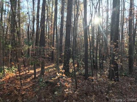 8628 Chipsin Path, Gloucester, VA 23061 photo 1