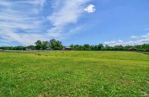 16259 Trainham Rd, Beaverdam, VA 23015 photo 43