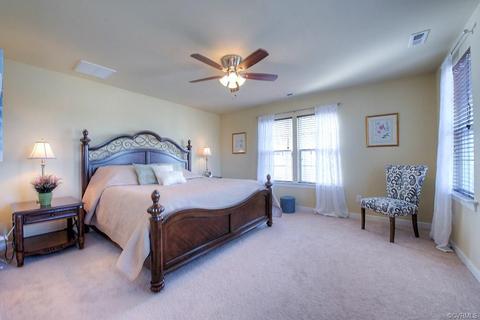 807 Agee Ter, Midlothian, VA 23114 photo 17