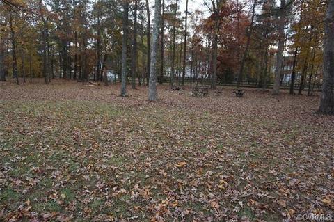 13131 Powderham Ln, Midlothian, VA 23113 photo 38