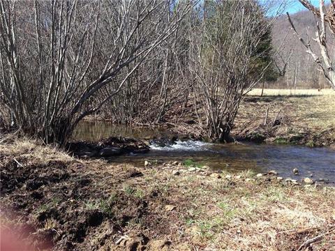 2680 Etlan Rd, Etlan, VA 22719 photo 33