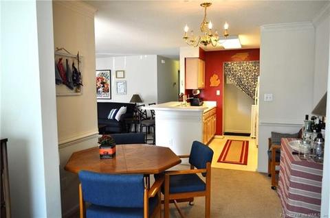 1003 Settlement Dr #1003, Williamsburg, VA 23188 photo 9