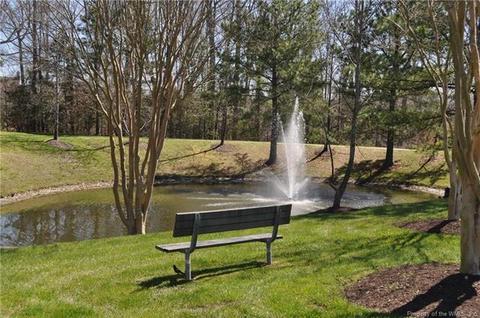 1003 Settlement Dr #1003, Williamsburg, VA 23188 photo 22