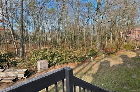 11906 W Briar Patch Dr #11906, Midlothian, VA 23113 photo 23