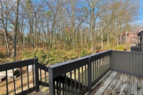 11906 W Briar Patch Dr #11906, Midlothian, VA 23113 photo 21