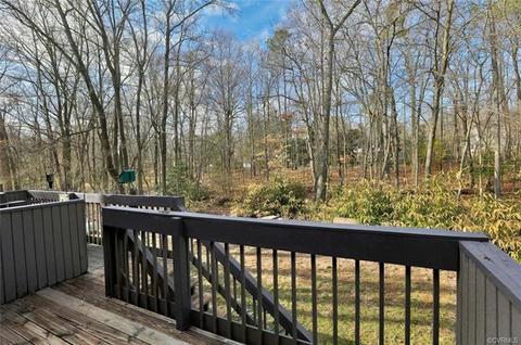 11906 W Briar Patch Dr #11906, Midlothian, VA 23113 photo 22