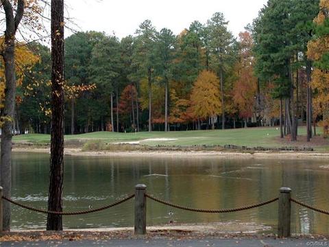 4803 Long Shadow Dr #4803, Midlothian, VA 23112 photo 29