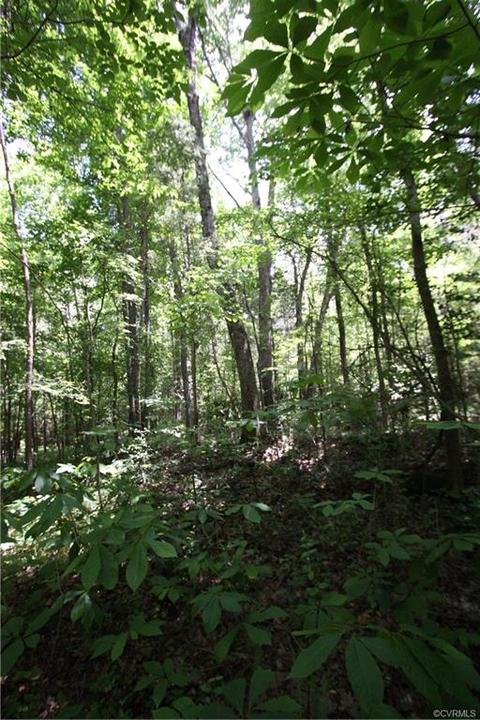 10817 Baltimore Rd, Ford, VA 23850 photo 6