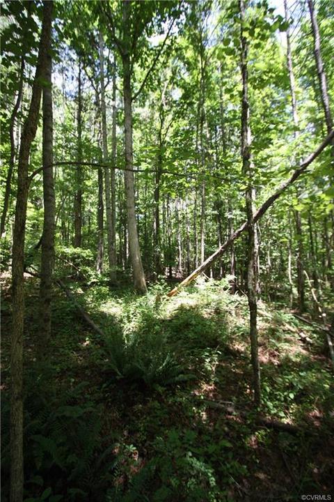 10817 Baltimore Rd, Ford, VA 23850 photo 3