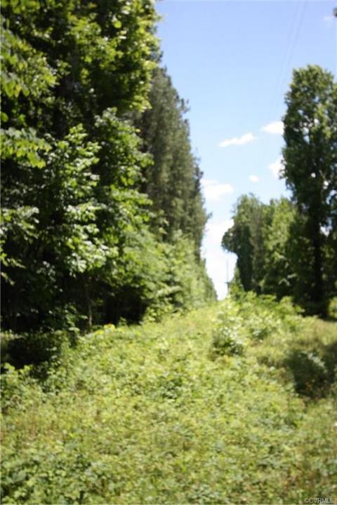 10817 Baltimore Rd, Ford, VA 23850 photo 5