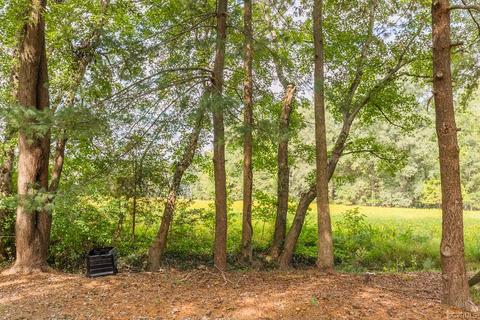 114 Beverly Rd, Ashland, VA 23005 photo 46