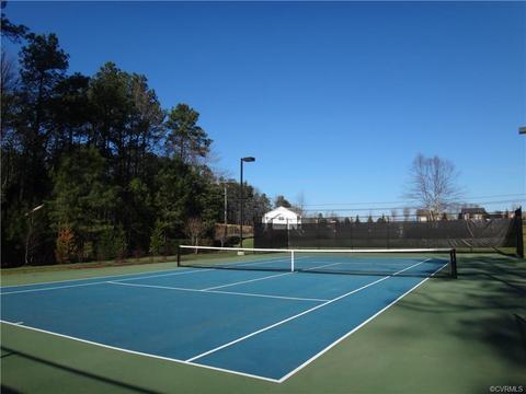 16705 Thornapple Run, Moseley, VA 23120 photo 32