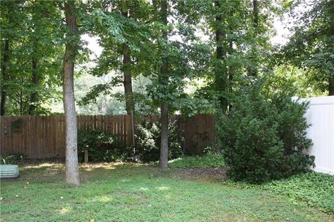 1319 Sycamore Square Dr, Midlothian, VA 23113 photo 26