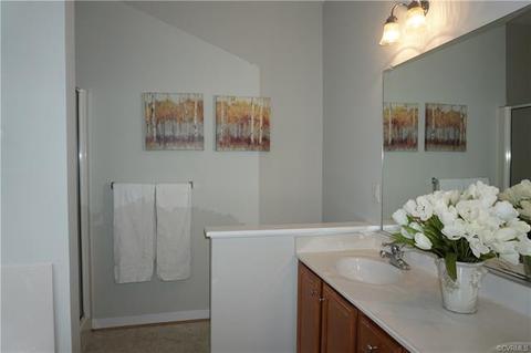 1013 Alcorn Ter, Midlothian, VA 23114 photo 10