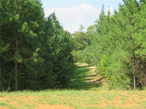 13730 Nash Rd, Dewitt, VA 23840 photo 8