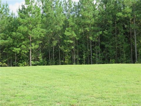 13730 Nash Rd, Dewitt, VA 23840 photo 6