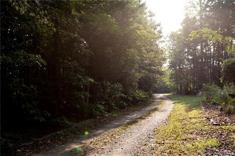 533 Schultz Ml, Meherrin, VA 23901 photo 43