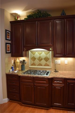 14218 Post Mill Dr, Midlothian, VA 23113 photo 14