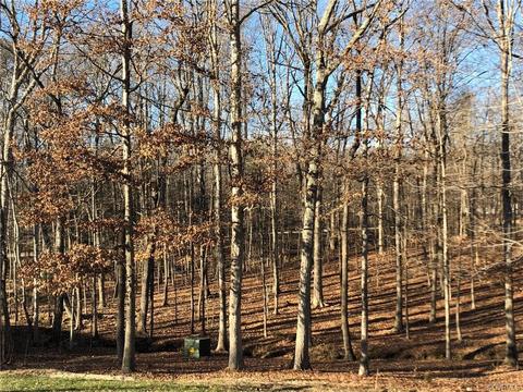 14330 Tunsberg Ter, Midlothian, VA 23113 photo 30