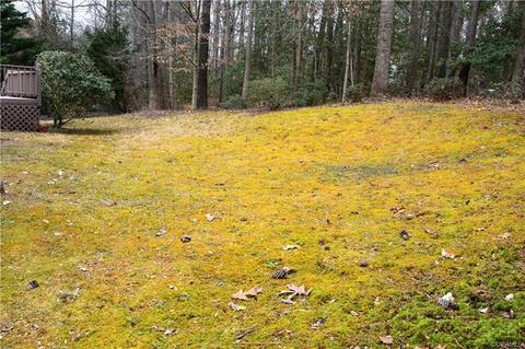 2541 Brookforest Rd, Midlothian, VA 23112 photo 18