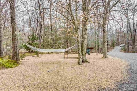 293 Carrs Bridge Rd, Bumpass, VA 23024 photo 40